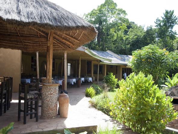 Primate Lodge - Lodge 